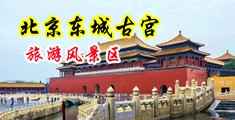 国模骚逼尿尿中国北京-东城古宫旅游风景区